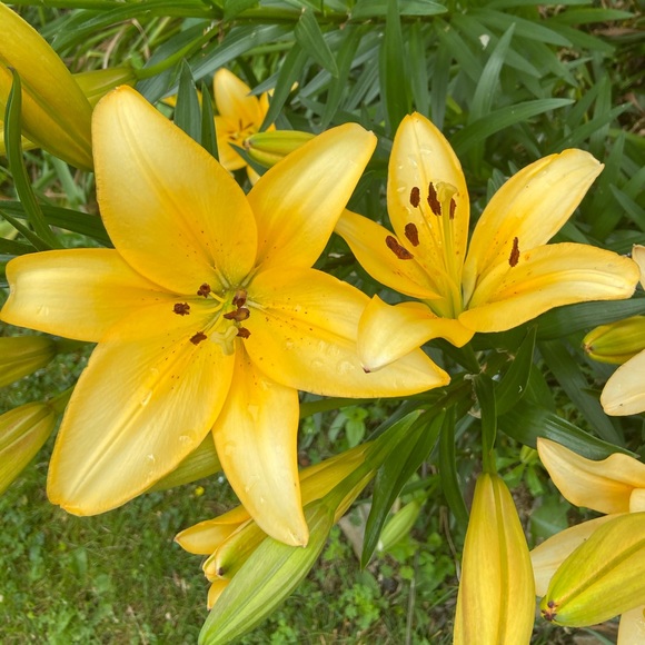 Meet your Posher, Jen - Picture 12 of 16